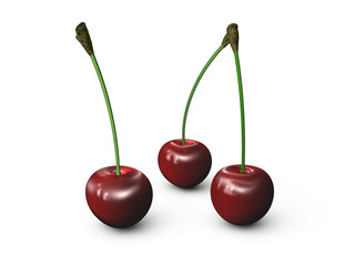 cherries on a white background