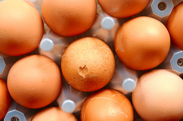 A set of eggs