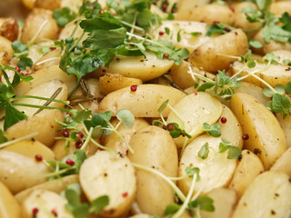 hauptgerichte büffet, beilage, neue kartoffeln