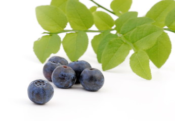 heidelbeeren
