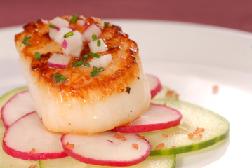 Seared scallop on a bed of radish and cucumber