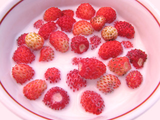 Milk and berries