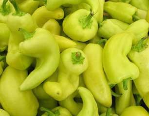 Paprikas bell peppers green