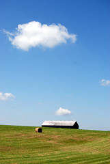 Country Barn 