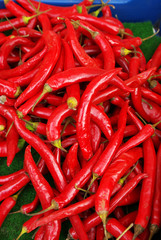 Chilli