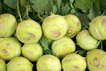 Kohlrabi