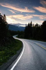 Fototapeten Norway road © dell
