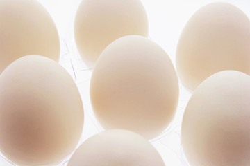 White Eggs