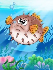 Fototapeta na wymiar Balloonfish with bubbles