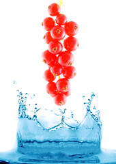 berry and fruit falling in juice. Isolation