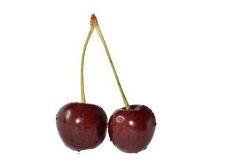 cherry_1