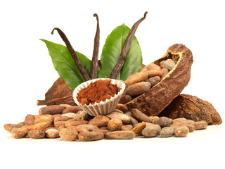 Kakao Bohnen Kakaopulver und Vanille - Kakaobohnen mit Frucht und Blätter Freigestellt