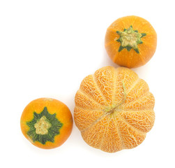 Pumpkins marrows vegetable Squashes