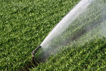 cannone di irrigazione