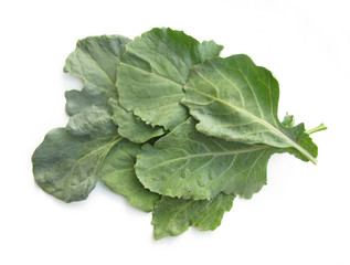 Cabbage rastan leaves 