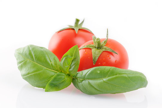 basilico con pomodorini