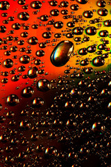 multicolored waterdrops
