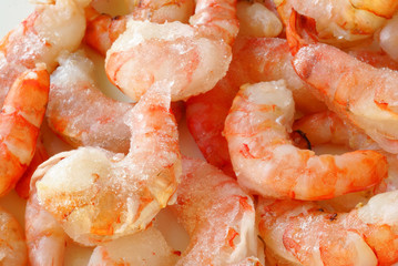 Frozen prawns