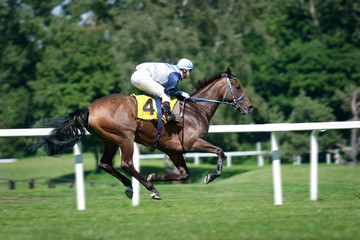 Horse racing