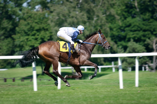 Horse racing