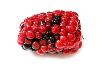 Extreme close up of berry isolated on white