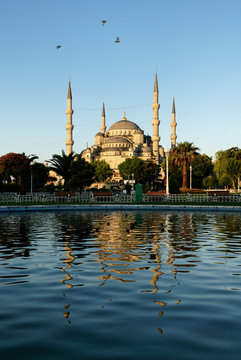 Blue Mosque reflected in a pond