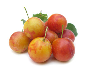 Plums red yellow with leaves