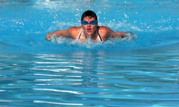 Schwimmer