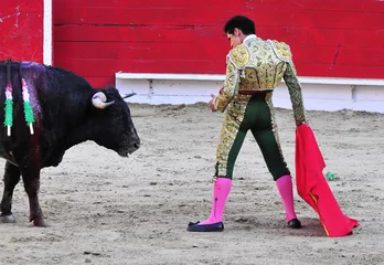 Cercles muraux Tauromachie Matador face à Bull