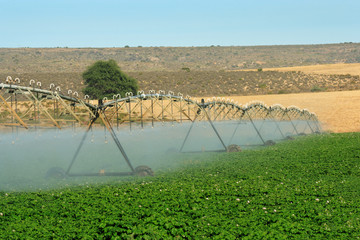 Agricultural irrigation system on South African Farm 1