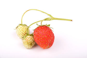 Strawberries