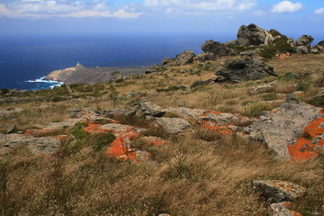 Faro Punta Scorno - Asinara