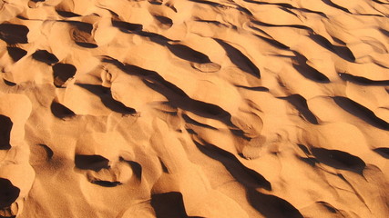Fototapeta na wymiar Pas de l'homme dans le désert du Namib, Namibie