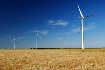 &eacute;olienne en &eacute;t&eacute; 7