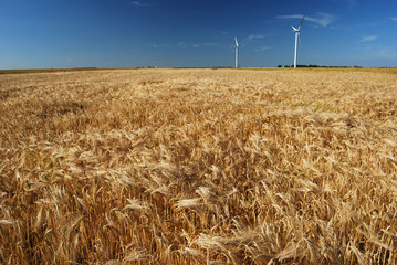 &eacute;olienne en &eacute;t&eacute; 7