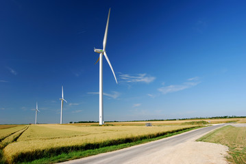 éolienne en été 9