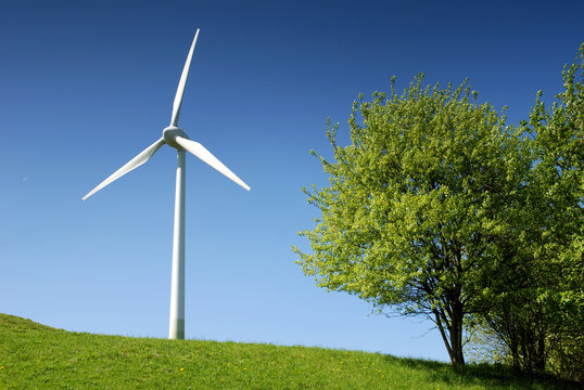 Windrad mit Baum