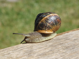 De paseo