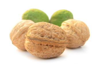 Walnuts 