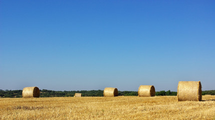 Fototapeta premium Hay bayle in the field of Alentejo region, Portugal.