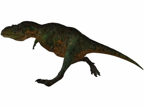 Aucasaurus-3D Dinosaurier