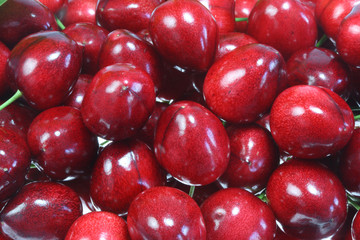 Ripe cherries.
