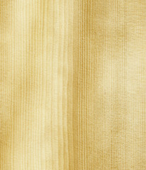 pine natural  wood texture