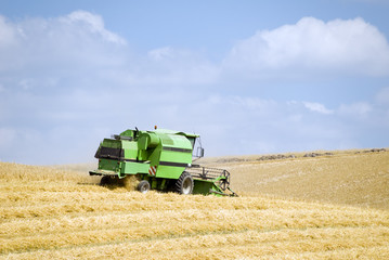 Fototapeta premium Moissoneuse