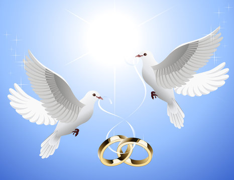 White_doves_holding_wedding_rings