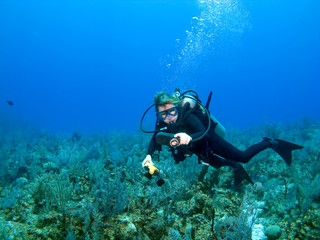 Scuba Diver Checking Gauges