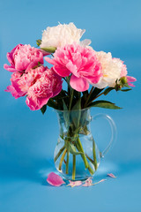 Bouquet of peonies on the blue background