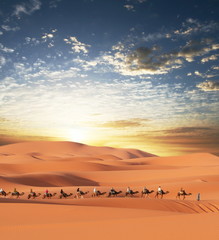 Caravan in desert