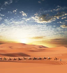 Zelfklevend Fotobehang Caravan in woestijn © Galyna Andrushko