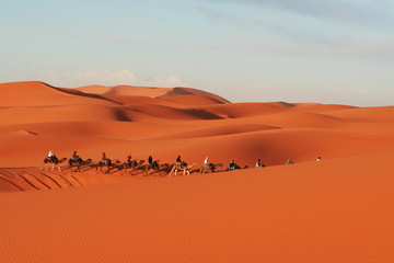 Fototapeta na wymiar Pole na pustyni